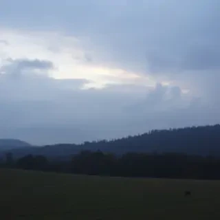 a calm nature landscape